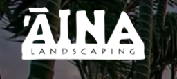 What’s the Role of Hardscaping in Tropical Landscape Design?