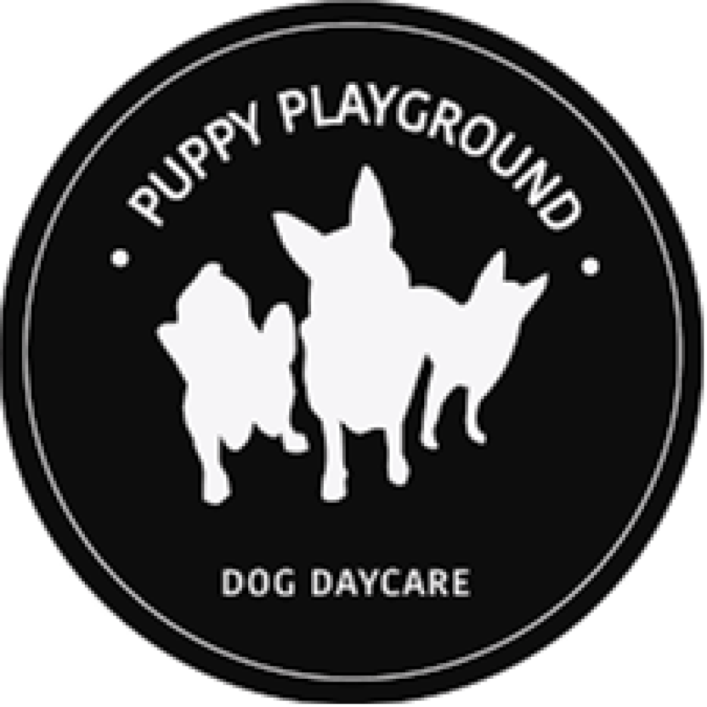 puppyplaygroundsydney