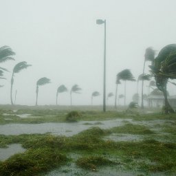 get-to-know-about-cape-coral-hurricane-and-other-region-affected-by-hurricane-vvip-property