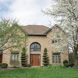 the-best-evergreen-feature-trees-that-beautify-your-garden-home-family-fun