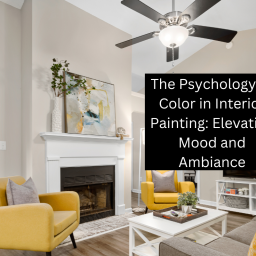 the-psychology-of-color-in-interior-painting-elevating-mood-and-ambiance-home-interior-tip