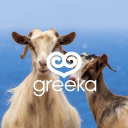 community-feed-greekacom