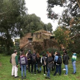 activity-custom-furnish-rome-collaboratory-act